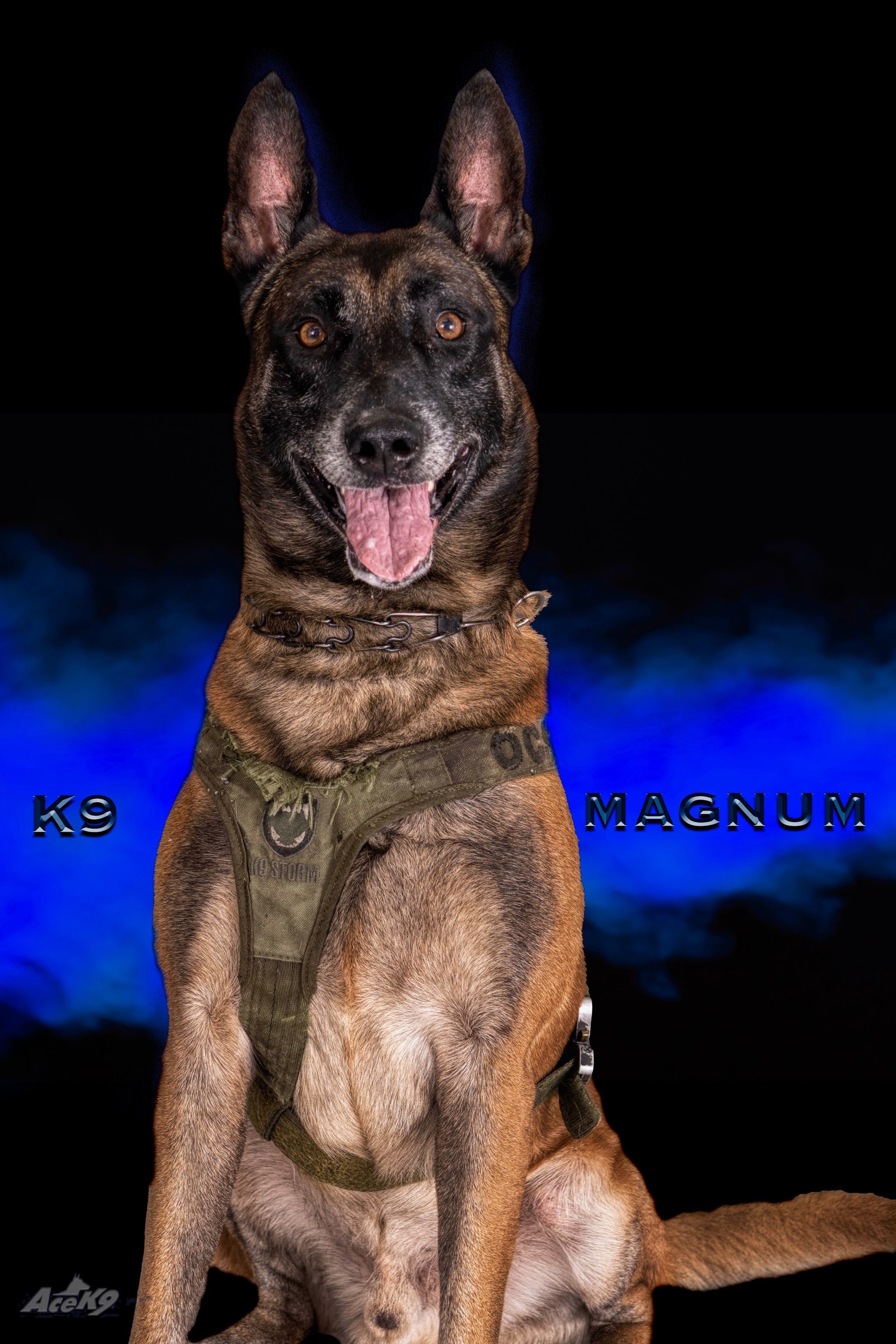 K9 Magnum